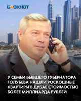 Семья бывшего губернатора Ростовской области Василия Голубева приобрела недвижимость на сумму около одного миллиарда рублей